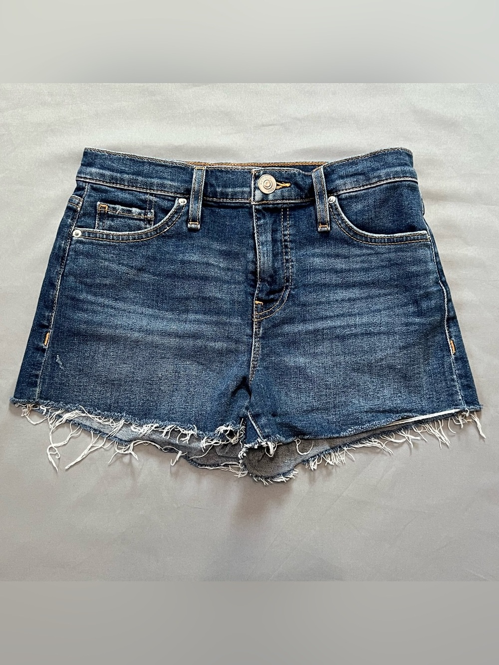 Hudson Denim Cutoff Shorts
